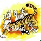 Tiger Books