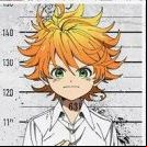 The Promised Neverland (TV)